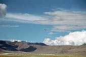 Ladakh - Tso-Kar lake, important for the  trans-Himalayan migratory birds. 